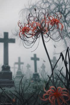 •spider lily°~° в 2025 г | Абстрактное, Фоновые рисунки, Японские цветы