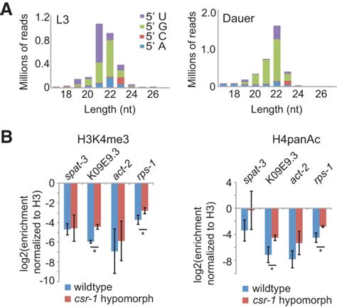 Rnai Pathways Contribute To Developmental History Dependent Phenotypic