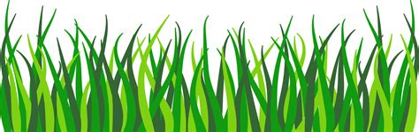 Green Grass Border Spring And Summer Plant Field Lawn Meadow 22936186 Png