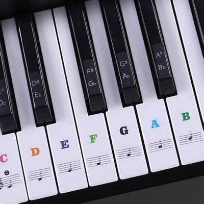 Naklejki Na Klawisze Keyboard Pianino Organy Akordeon Puławy OLX pl