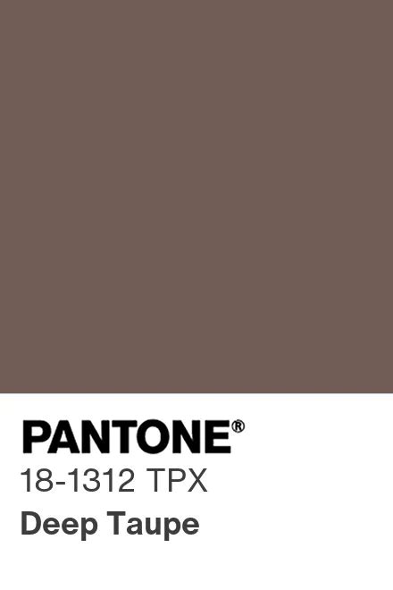 Pantone Deep Taupe Pantone Swatches Pantone Color Pantone Colour The