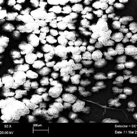 Scanning Electron Microscopy Image Of Silver Coated Alumina Download