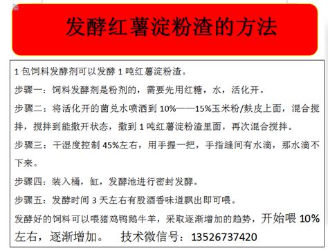 红薯浆发酵技术红薯浆发酵用什么菌地瓜粉发酵大山谷图库