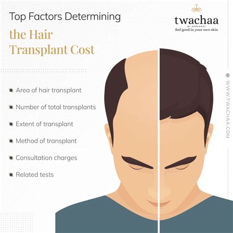 Hair Transplants Main Factors That Determine The Total Cost