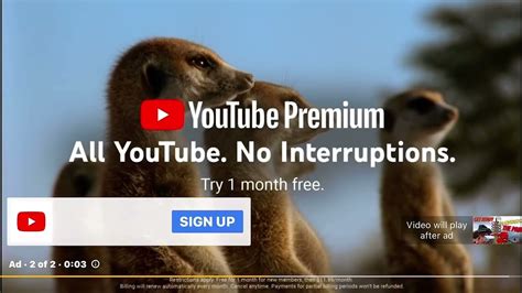 Youtube Premium 2022 Ad 2 Meerkats Youtube