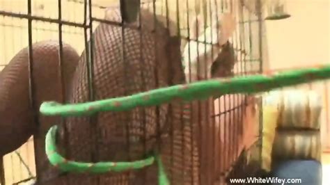 Passionate Interracial Fuck With Big Black Cock BBC