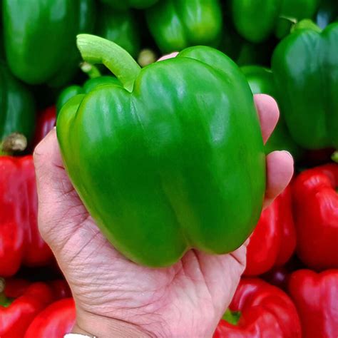 How To Know When To Pick Bell Peppers And Tell If They Re Ripe