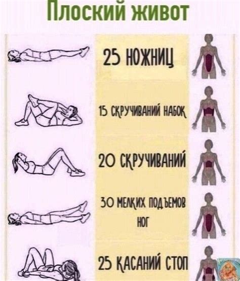 Стройная фигура | Тренировки, Упражнения, Живот