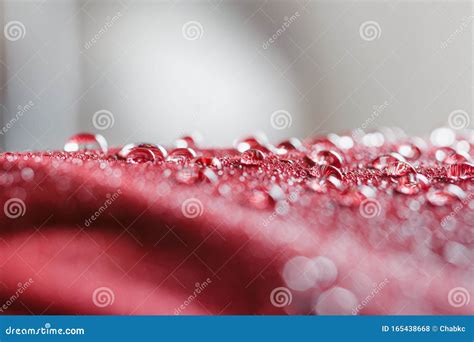 Rain Water Droplets On A Waterproof Fabric Stock Photo Image Of Drip