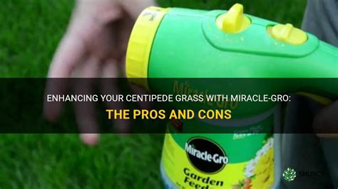 Enhancing Your Centipede Grass With Miracle Gro The Pros And Cons Shuncy