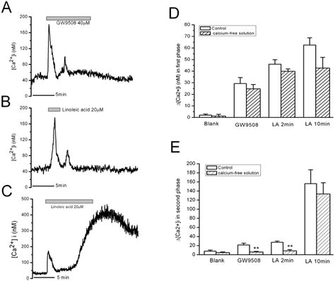 Effects Of Removal Of Extracellular Ca On Increase In Ca I In