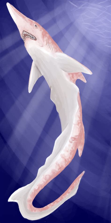 SW 2012: Scapanorhynchus by Journeri on DeviantArt