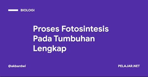 Proses Fotosintesis Pada Tumbuhan Lengkap Pelajar