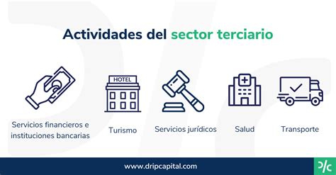 Sector terciario Definición e importancia para el PIB de México