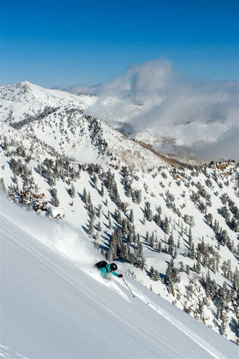 Alta Ski Area, Utah - SKI Magazine Resort Guide Review