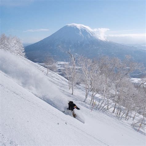 8 Best Things To Do In Niseko In Winter Kyuhoshi