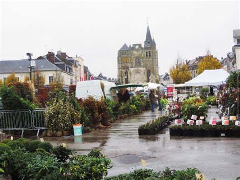 March Aux Arbres Au Neubourg Office De Tourisme Du Pays Du Neubourg