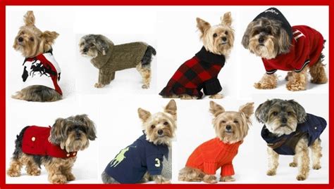 ROUPA PARA CACHORRO FOTOS E MODELOS Digitei