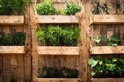 Potager Vertical Cultiver En Hauteur Dans Les Petits Jardins