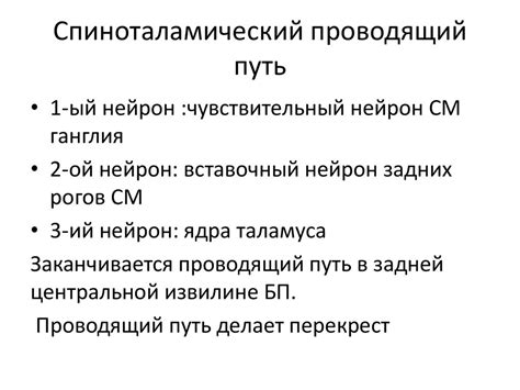 Центральная нервная система - презентация онлайн