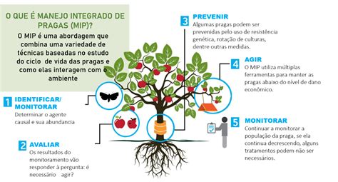 Manejo Integrado de Pragas aprenda a atilizar AgroPós