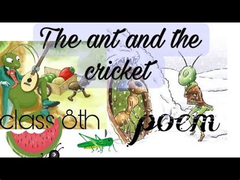 Class Th Poem The Ant And The Cricket Youtube