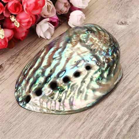 Abalone Shell Natural Shell Craft Jewelry Conch Home Wedding Decoration Charm Pendants For