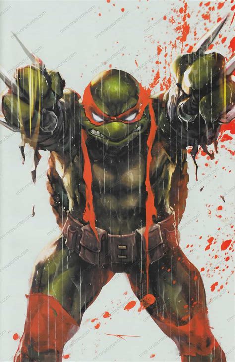 IDW TMNT Vol V 132 1st Cover RE The Comic Book Dealer B TMNT