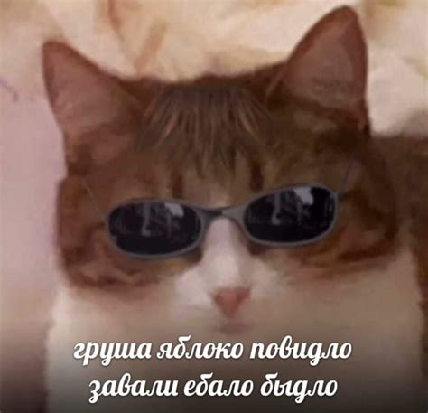 memes panosundaki Pin