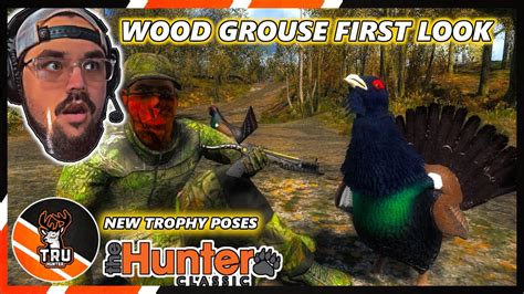 Wood Grouse First Look Thehunter Classic Youtube