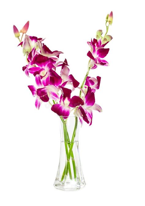 Purple Orchids Bouquet In A Vase. Stock Image - Image of beautiful, background: 27175979