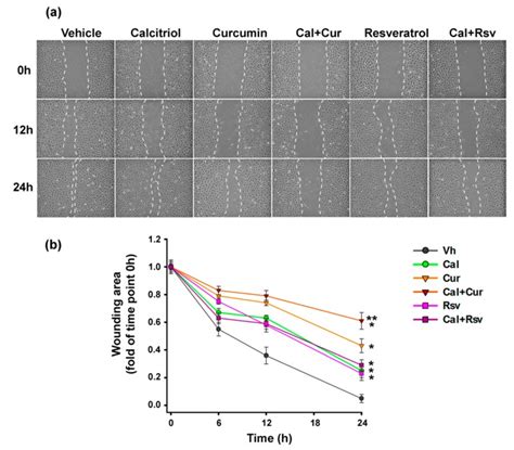 Synergistic Antitumorigenic Activity Of Calcitriol With Curcumin Or