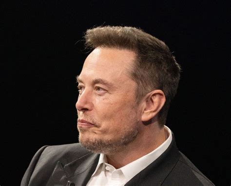 Elon Musk vai financiar campanha para combater ataques implacáveis à