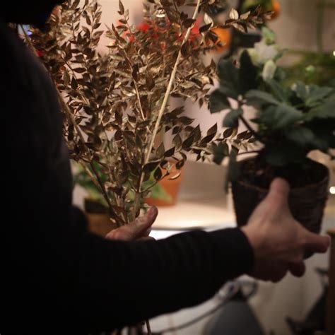 Premium Photo Midsection Of Woman Holding Potted Plant