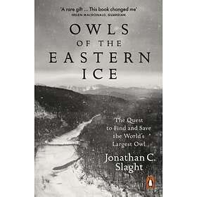 Owls Of The Eastern Ice Hitta B Sta Pris P Prisjakt