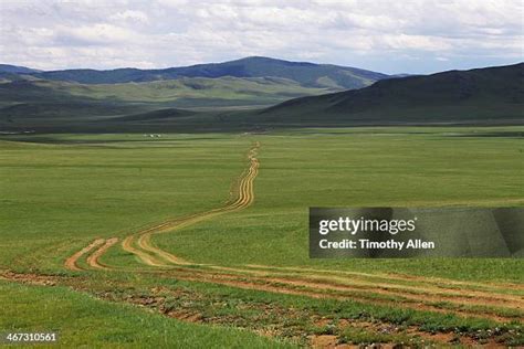 Timothy Field Allen Photos And Premium High Res Pictures Getty Images