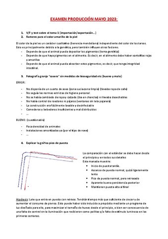 EXAMEN PRODUCCION CORREGIDO MAYO 2023 Pdf