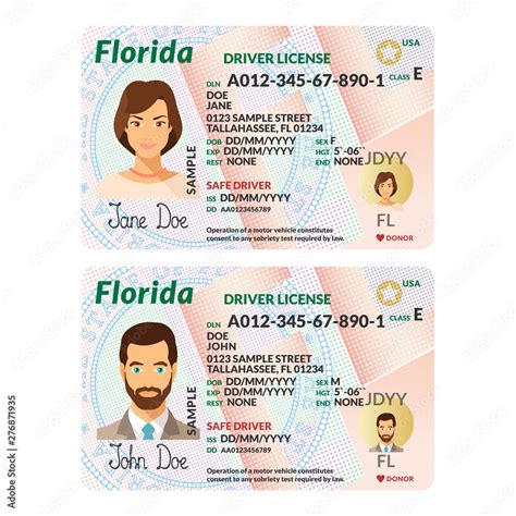 Drivers License Template