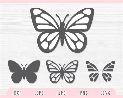 3D Butterfly SVG Butterfly Silhouette Cricut Butterfly Clipart Butterfly Vector Butterfly SVG ...