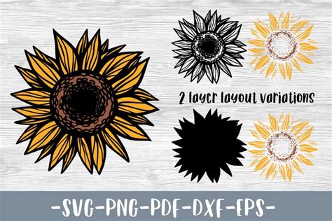 Sunflower Silhouette Svg Layered Svg Cut File Images