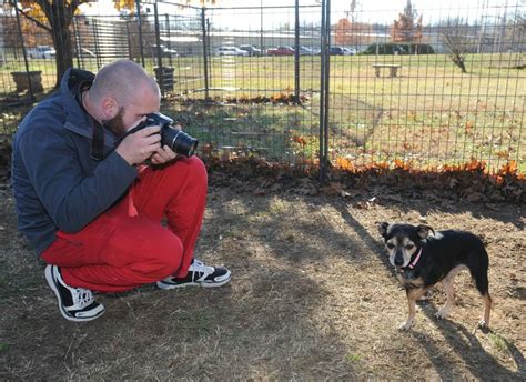 Washington County Animal Shelters Waiving Reducing Adoption Fees For