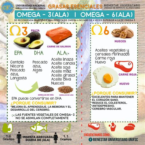 Alimentos Que Contiene Omega 3 Y Omega 6 Oficina De Bienestar Universitario