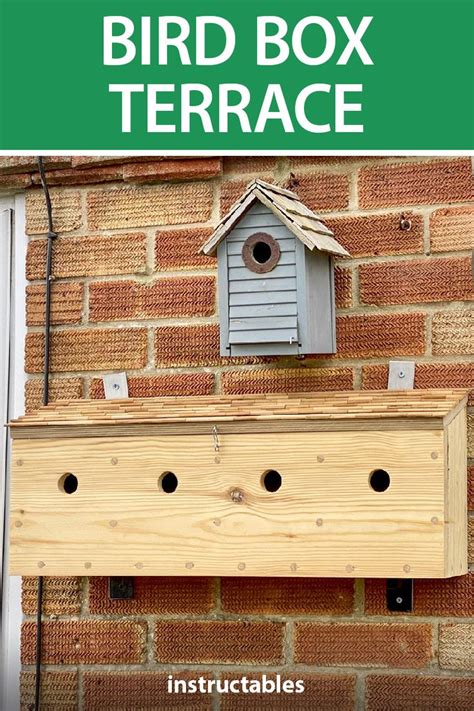 🐦 House Sparrow 🐦 Bird Box Terrace 🐦 Bird Boxes Finch Bird House Patio Projects