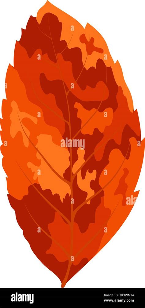 Autumn Ash Tree Leaf Leaf Fall Vector Illustration Stock Vector Image And Art Alamy