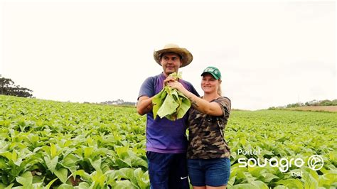 Temos nas veias a produção de fumo diz casal de produtores que se