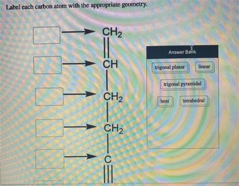 Solved Label Each Carbon Atom With The Appropriate Geometry Chegg