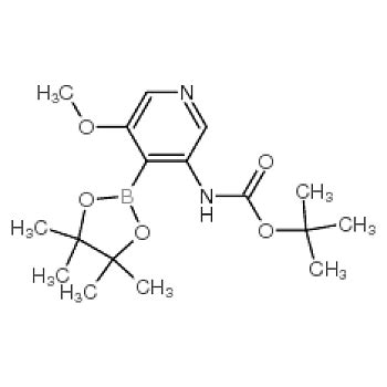 Aladdin 阿拉丁 tert Butyl 5 methoxy 4 4 4 5 5 tetramethyl 1 3 2