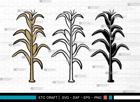 Corn Stalk SVG Corn Stalk Clipart Graphic By Pixel Elites Creative