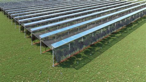 Powershield La Prima Soluzione Completa Di Impianto Agrivoltaico