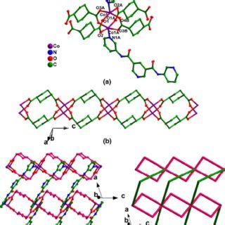 A The Coordination Environment Of Co Ii Ion In Complex The Hydrogen